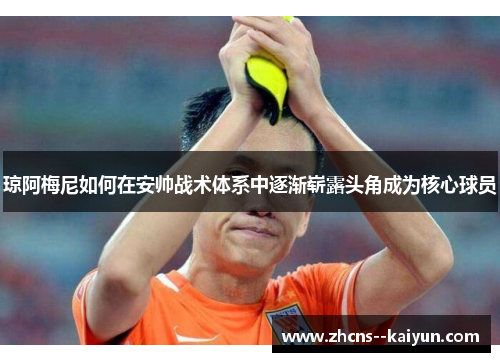 琼阿梅尼如何在安帅战术体系中逐渐崭露头角成为核心球员 琼阿梅尼如何在安帅战术体系中逐渐崭露头角成为核心球员